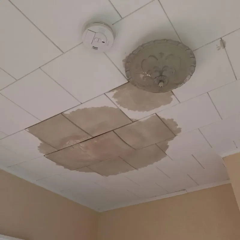 Ceiling Water Damage Repair in New Brighton, MN