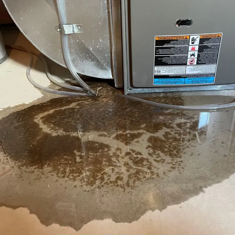 Pipe Burst and Leak Restoration in New Brighton, MN